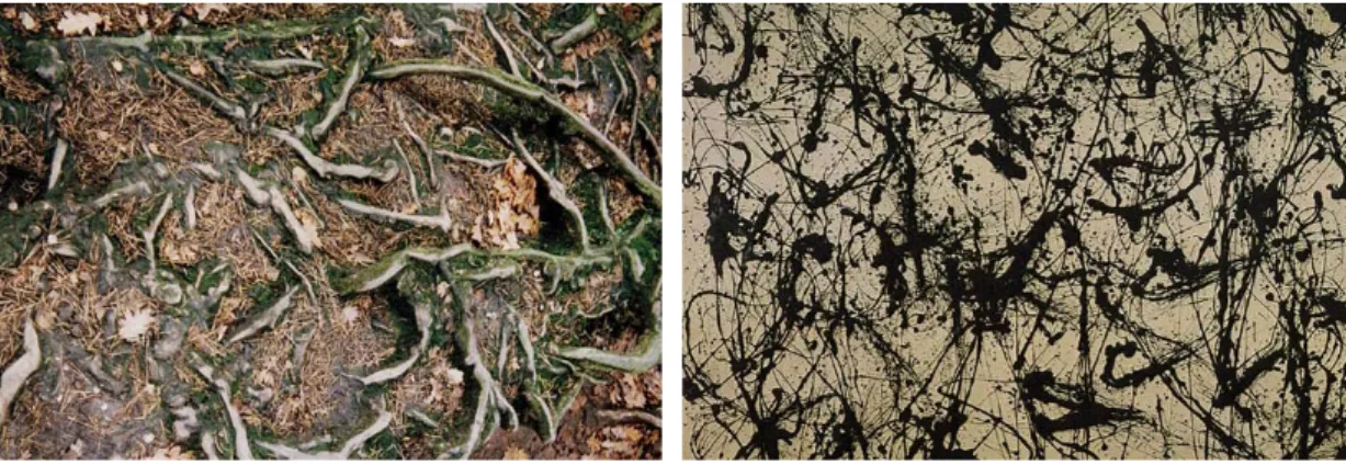 Figure 2: A comparison of image sections of tree roots and Pollock’s Number 32, 1950, located at Kunstsammlung Nordrhein-Westfalen, Dusseldorf, Germany.