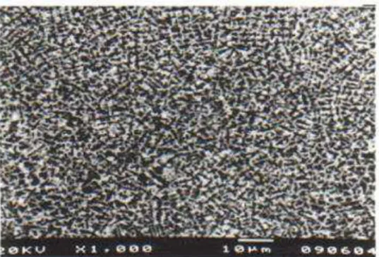 Figura VII - b): Micrografia da estrutura dentrítica da região da solda: Aumento:  1000X  