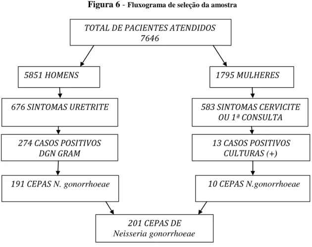 Figura 6 -  Fluxograma de seleção da amostra 