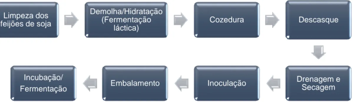 Figura 3 - Diagrama das etapas essenciais de produção de tempeh de soja. 