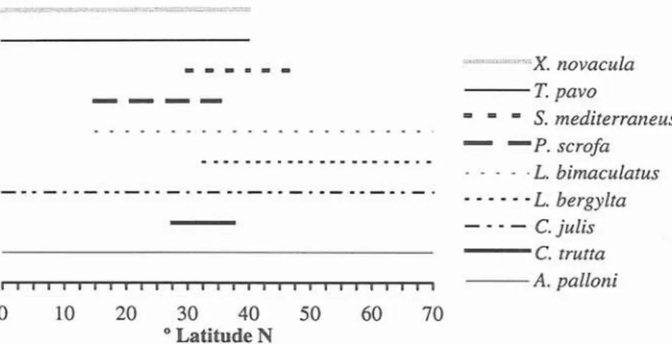 Fig.  5.  Latitudinal distribution of  labrid species present in the Azorean waters. 
