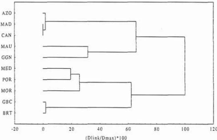 Fig. 7. Cluster analysis based  on the Jaccard's coefficient calculated using the Labridae fauna of  selected area of  the  northeast Atlantic (AZO  -  Azores; MAD  -  Madeira; CAN  -  Canaries; BRT  -  British Isles; GBC  -  Gulf of Biscay: POR  -  Portug