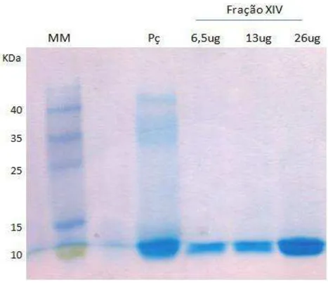 Figura 19: Análise da fração  XIV obtida  pelo fracionamento  do extrato bruto da  peçonha de  Tityus 