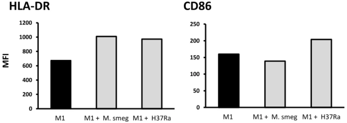 Figure  6.  Effect  of  mycobacteria  infection  on  macrophage  activation  phenotype  induced  by  IFN-γ