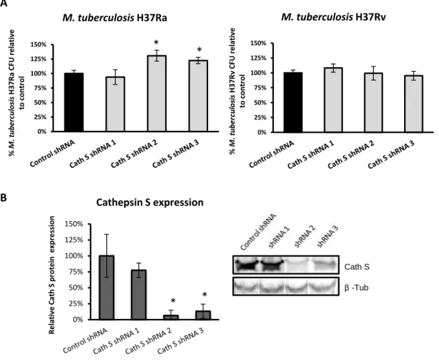 Figure 12. Effect of Cathepsin S (Cath S) silencing on M. tuberculosis H37Ra and M. tuberculosis H37Rv  intracellular survival within THP-1 macrophages
