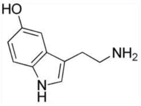 Figura 1. Estrutura química da serotonina 