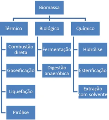 Figura 8: Fluxograma dos principais processos de conversão de uma biomassa.  Fonte: Adaptado de [44]