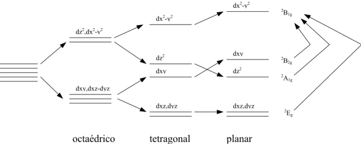 Fig. 3.14 – Diagrama de níveis de energia d 9  Cu 2+  como íon livre em coordenação octaédrica,  tetragonal e planar quadrada