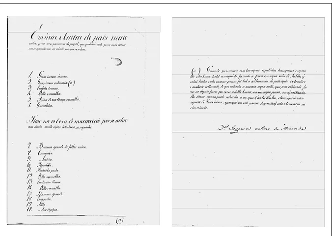 FIGURA  13  -  Lista  de  Bernardo  José  de  Lorena,  governador  das  Minas,  ao  Conde  de  Linhares,  enviando amostras de plantas e de árvores para o fabrico de papel, acompanhadas da  nota do Professor Dr