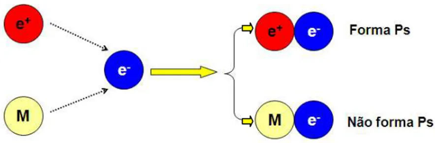 FIGURA 5: Competição entre o pósitron e uma molécula do meio, representada                          por M, pela captura de um elétron ionizado no spur 
