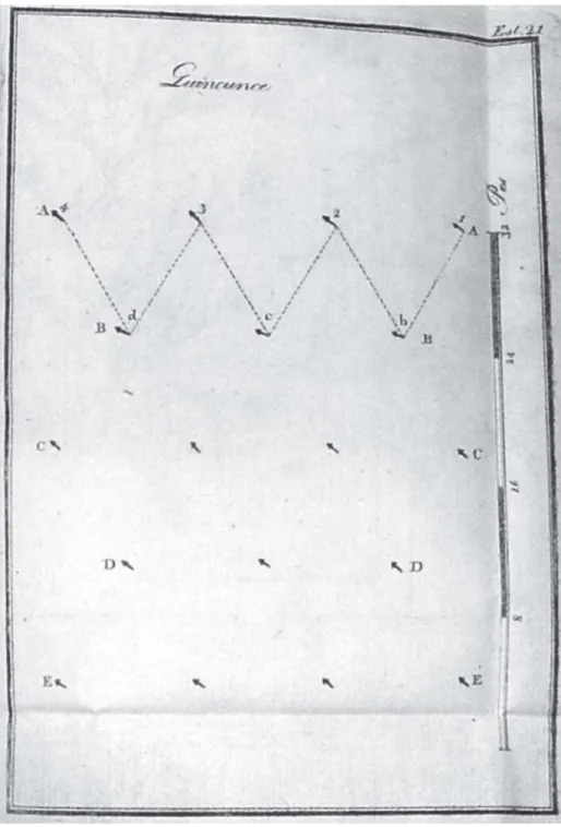 Figure 1: Planting in quincunx (Laborie, 1800)