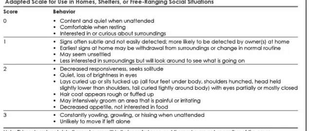 Figure 2 - Adapted Scale for use in Homes, Shelters, or Free-Ranging Social Situations