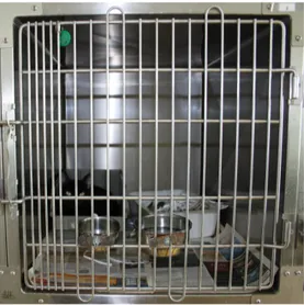 Figure 3 - One of the cages used at the MAS in Sintra, including food and water bowl, bed and  litter tray (original)