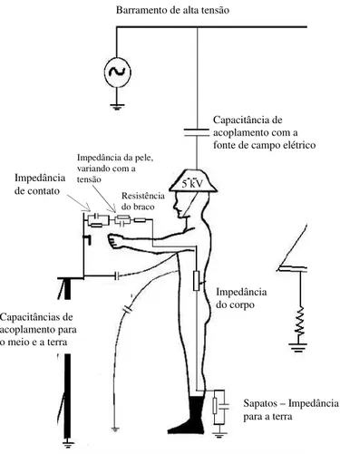FIGURA 2.1 – Acoplamentos do corpo sob exposição ao campo elétrico  Fonte: adaptado de Hamnerius, Y