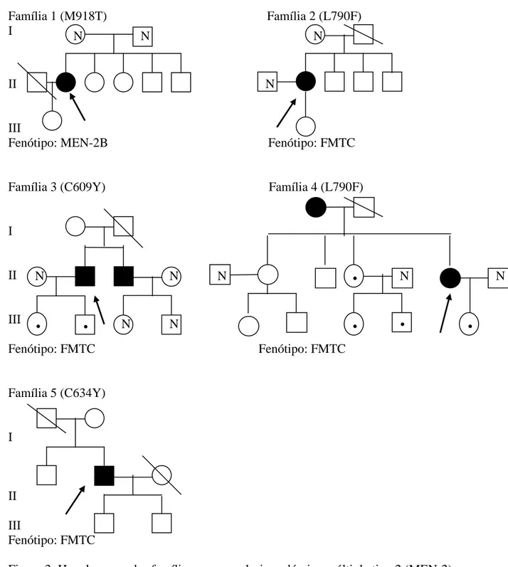 Figura 3: Heredograma das famílias com neoplasia endócrina múltipla tipo 2 (MEN-2),  (mutação encontrada) e fenótipo