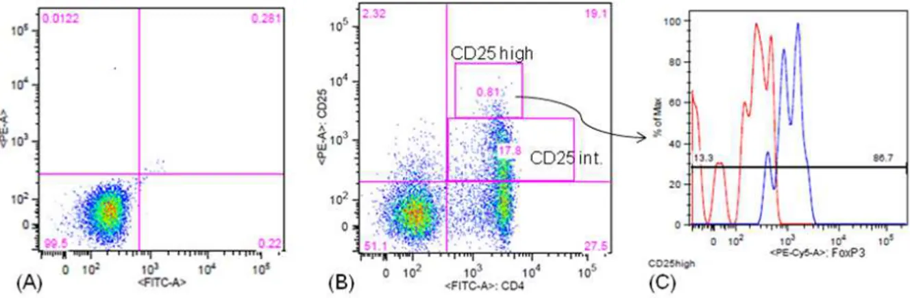 Figura  6:  Dot-plot  para  avaliação  de  células  T  reguladoras,  FITC  versus  PE,  e  histograma  para  avaliação  do  marcador  FoxP3