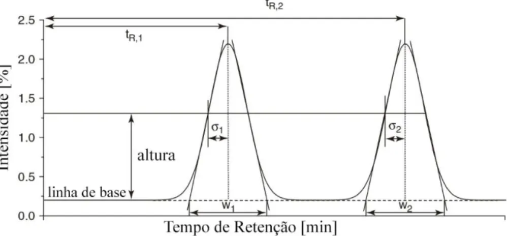 Figura 4.1: Cromatograma com os parâmetros para a caracterização dos picos cromatográficos (adaptado  de: Nagy &amp; Vékey 2008)