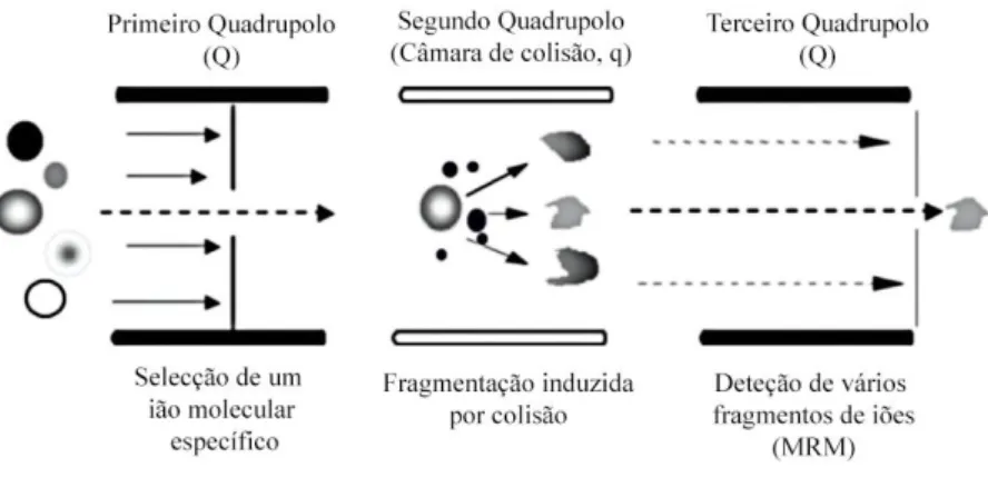 Figura 5.1: Configuração do analisador de massa triplo quadrupolo operado no modo MRM (dois ou  mais fragmentos) (Adaptado de Locatelli et al., 2012)
