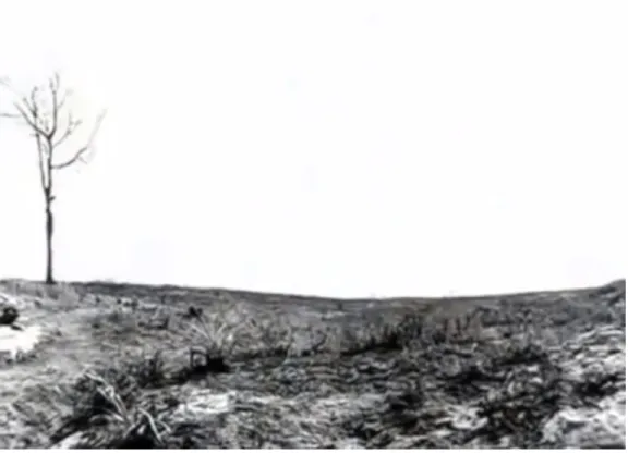 Figura 7: A paisagem árida e vazia que inicia o filme Vidas Secas de Nelson Pereira dos Santos  (1963)