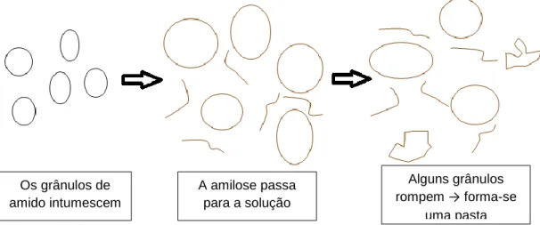 Figura 3 – Gelatinização do amido, Fonte: Costa, S., 2011 