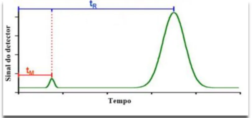 Figura 4.1 - Cromatograma ilustrativo do tempo de retenção de um composto [adaptado de Skoog, 2001]