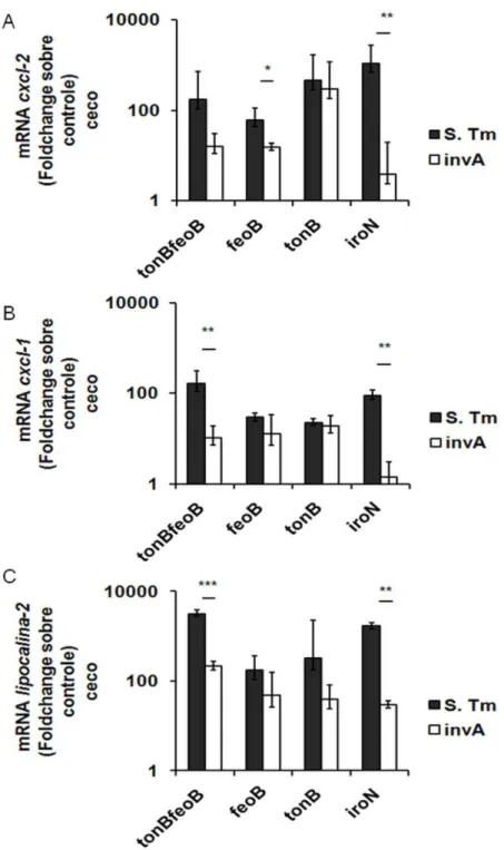 Figura 5. Quantificação de RNA mensageiro de ceco de camundongos pré-tratados com  estreptomicina  e  coinfectados  com  a  cepa  de  referência  e  mutante  de  Salmonella  Typhimurium