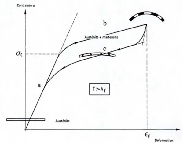 Figura  5 - Um gráfico representando o comportamento elástico (Jordan et Rocher 2009) 