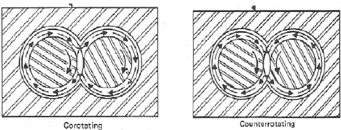 Figura  6  - Representações  esquemáticas  de  duplo  parafuso  co  rotativo  (esquerda)  e  duplo  parafuso contra rotativo (direita) (Lopez, 2004) 