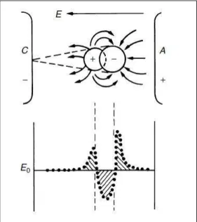 Figura 2.3: Distorção no campo elétrico causado pela carga espacial da avalanche de elétrons [5]