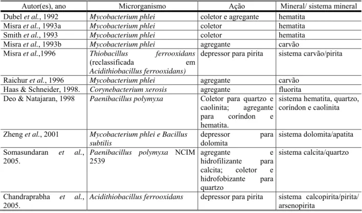Tabela III-3 – Estudos em biotratamento, com os respectivos microrganismos, tipo de  ação e mineral ou sistema mineral estudado