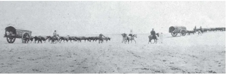 Figure 1: Ox carts. Máscara, Porto Alegre, 1919. (Museu de Comunicação Social Hipólito J