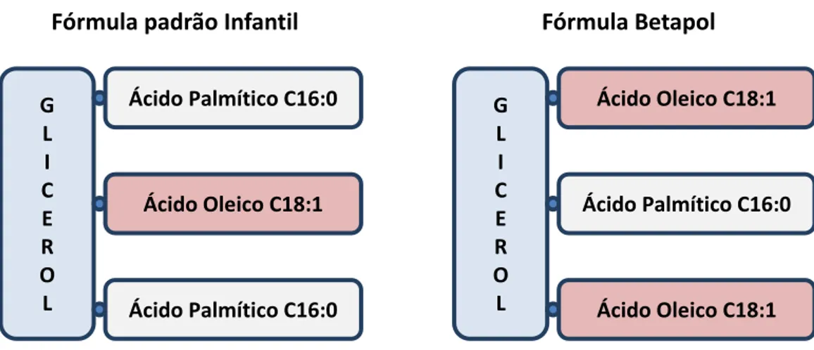 Figura  2.  Comparação da estrutura  do triacilglicerol  em fórmulas infantis tradicionais e num sucedâneo de gordura de leite  humano, o Betapol