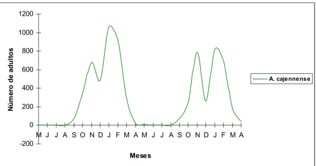 Figura 12 - Flutuação da população de adultos de vida parasitária de A. cajennense coletados no município de Coronel Pacheco, MG, no período de maio de 2006 a abril de 2008.