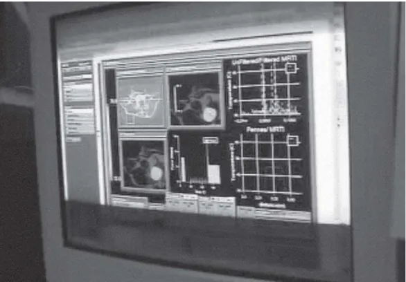 Figure 2: Example of how the experiment was transmitted online, ‘witnessed’ via computer