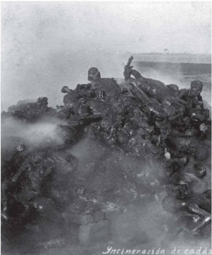 Figure 3: Burning corpses in Balbuena; Mexico City, February 1913; Samuel Tinoco (Inv.#37306, Fondo Casasola, Sinafo-Fototeca Nacional del Inah)