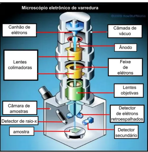 Figura 3.7: ilustração de um microscópio eletrônico de varredura e seus principais componentes [3].