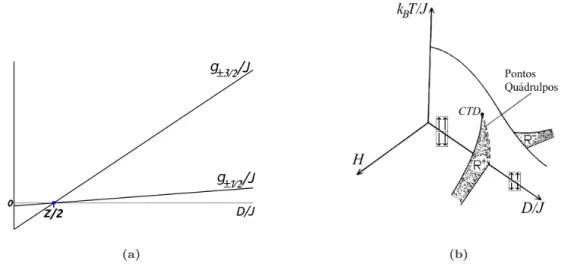 Figura 3.3: (a) Esbo¸co da energia livre por spin g/J em fun¸c˜ao da anisotropia