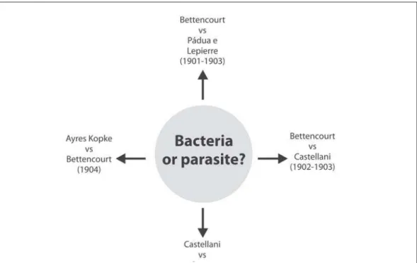 Figure 1: Diagrammatic representation of the core of the bacteria-parasite controversy in sleeping sickness (1901-1904) (Diagram prepared by the author)