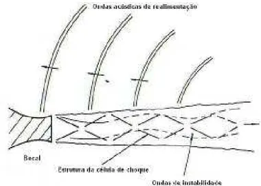 FIGURA 2.15 – Esquema da realimentação do ciclo do “screech” tom.  FONTE: TAM, 1995. 