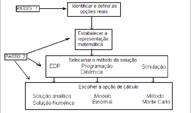 Figura 3.1 - Processo de implementação para análise de uma opção real                                        (Amram e Kulatilaka, 1999)