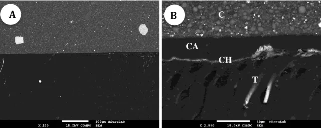 Fig.  8-  Micrografias  FEG-SEM  da  interface  resina-dentina  com  SBU-E.D.  Ampliação  final: A