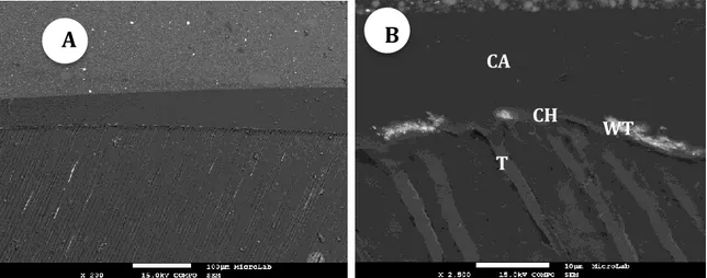 Fig. 13- Micrografias FEG-SEM da interface resina-dentina com SBU+SM-E.R. 