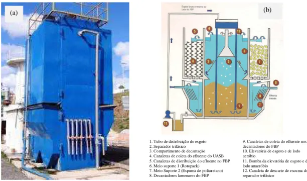 FIGURA 3.6: Sistema compacto UASB/FBP do tipo retangular desenvolvido no  DESA/UFMG: (a) Fotografia do sistema; (b) detalhe esquemático dos componentes do 