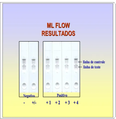 FIGURA 5 – Resultado do teste ML Flow, adaptado Fonte: BÜHRER SÉKULA et. al. (2003)