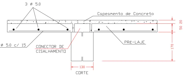 Figura 3.9- Detalhe da seção transversal da viga mista em perfil “caixa”  apresentando as dimensões nominais da seção mista