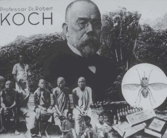 Figure 1: Robert Koch, diseases, tsetse fly and vials of Bayer 205 medication. Photomontage (Robert Koch..., s.d.)
