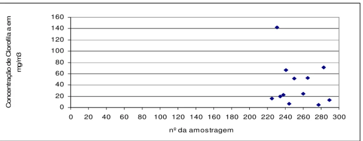 FIGURA -  5.18 - Variação da concentração de Clorofila a  em 16 amostras na estação 