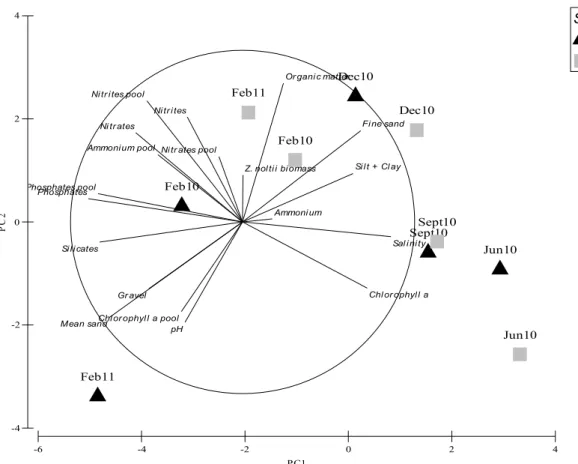 Figure  2.  Principal  Component  Analysis  (PCA)  plot  based  on  the  environmental  variables 