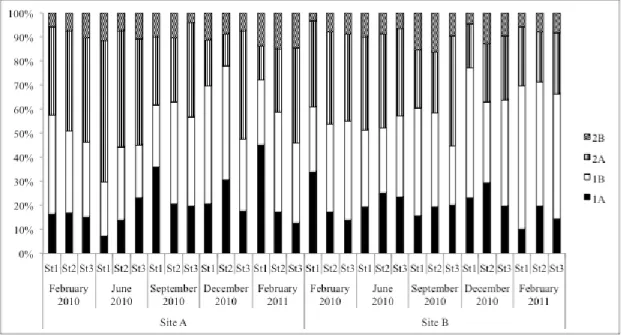 Figure  5.  Percentage  of  contribution  of  four  different  trophic  groups  (1A  –  selective  deposit  feeders;  1B  –  non-selective  deposit  feeders;  2A  –  epistrate  feeders;  2B  –  predators),  average  values  in  Stations  (St1,  St2,  St3) 