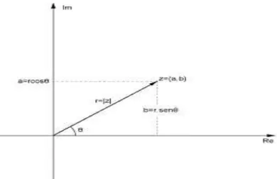 Figura 11: Forma trigonométrica de z.